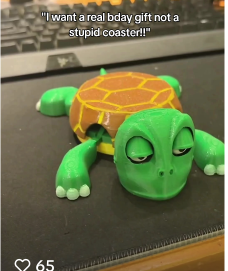 Funny Turtle Mug Coaster