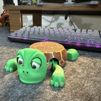 Funny Turtle Mug Coaster