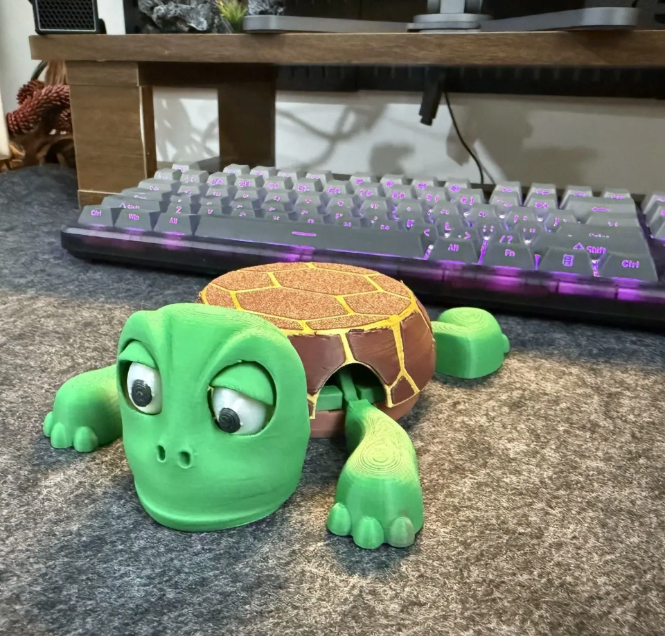 Funny Turtle Mug Coaster